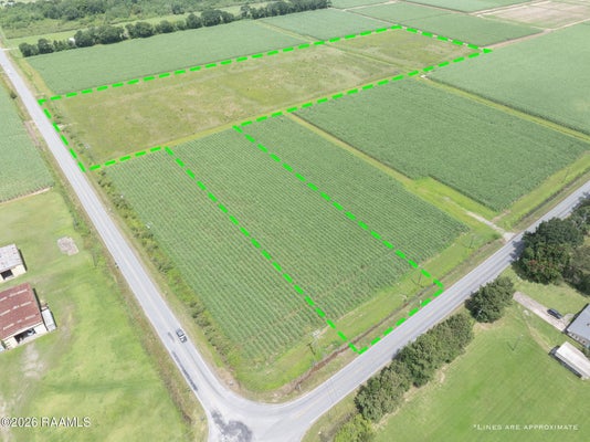 338 LOTUS RD, CROWLEY, LA 70526 - Image 0bc47eeeea5eb760bb14d009bb6b845f/4121095043