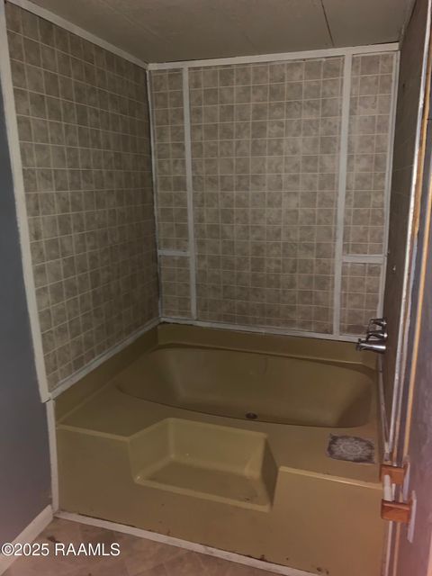 Photo of 313 S Lee Street, New Iberia, LA 70560 (MLS # 2500004915) Photo of 313 S Lee Street, New Iberia, LA 70560 (MLS # 2500004915)