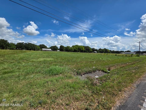 Photo of 2316 Jefferson Island Road, New Iberia, LA 70560 (MLS # 2600007797)