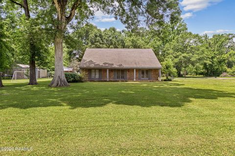 Photo of 300 Wildlife Drive, Lafayette, LA 70507 (MLS # 2600005887)