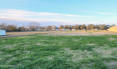Photo of 8522 Cat Road, Maurice, LA 70555 (MLS # 2600000376)