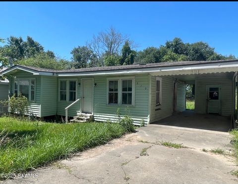 Photo of 210 Lilly Street, Lafayette, LA 70501 (MLS # 2500003531)
