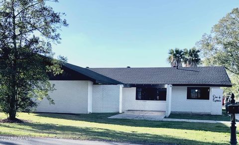 Photo of 118 Plantation Drive, New Iberia, LA 70563 (MLS # 2500005996)