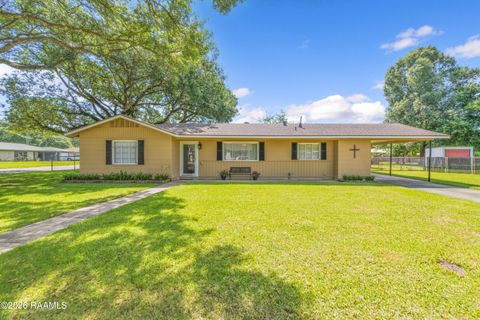 Photo of 808 Oswald Street, New Iberia, LA 70563 (MLS # 2600004006)