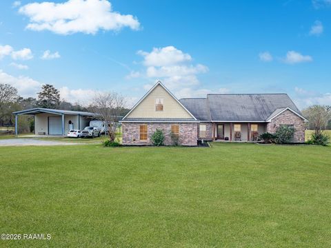 Photo of 293 Nezpique Lane, Iota, LA 70543 (MLS # 2500006795)