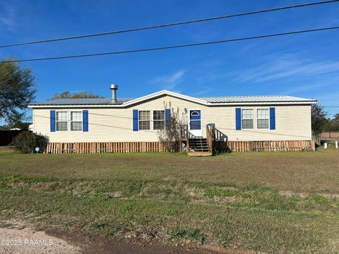 Photo of 118 Bear Street, Port Barre, LA 70577 (MLS # 2500006321)