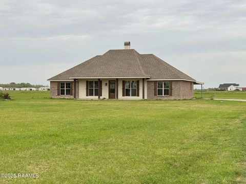Photo of 4198 Iota Highway, Egan, LA 70531 (MLS # 2500003079)