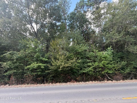 Photo of Hwy 106 (Beaver Rd), Ville Platte, LA 70586 (MLS # 2600008360)