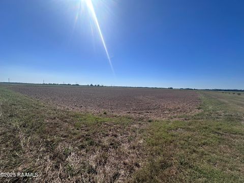 Photo of Tbd Blacksmith Road, Church Point, LA 70525 (MLS # 2500004732)