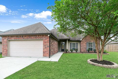 Photo of 39461 Old Cornerstone Ct Ct, Prairieville, LA 70769 (MLS # BR2026006162)