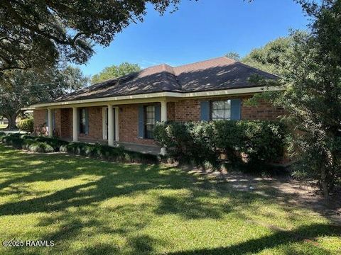 Photo of 8714 Sidney Gautreaux Road, Abbeville, LA 70510 (MLS # 2500003612)
