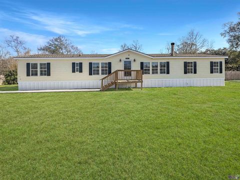 Photo of 32230 Tuck Ln Ln, Denham Springs, LA 70706 (MLS # BR2026003305)