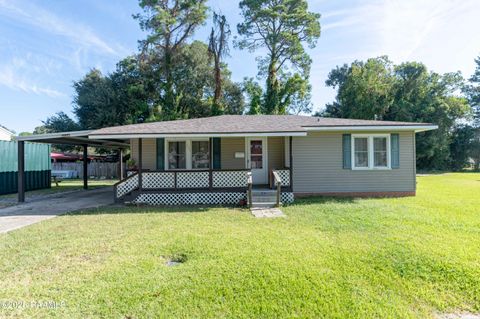 Photo of 503 Texas Street, New Iberia, LA 70563 (MLS # 2500005181)