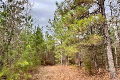 Photo of 01 Ford Road, Marion, LA 71260 (MLS # BR2026003582)