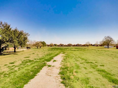 Photo of 6100 Highway 44 Highway, Gonzales, LA 70737 (MLS # BR2026003563)