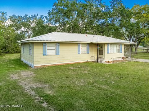 Photo of 4633 Bridge Street Highway, St. Martinville, LA 70582 (MLS # 2500004400)