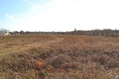 Photo of TBD Hwy 3235 Westside, Larose, LA 70373 (MLS # BY2026002500)