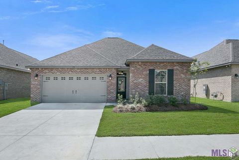 Photo of 713 Elliston Dr Dr, Gonzales, LA 70737 (MLS # BR2026006281)