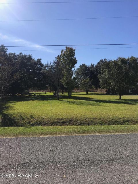 Photo of 1060 Rene O Guidry Road, Breaux Bridge, LA 70517 (MLS # 2500005244)