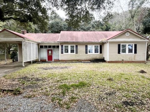 Photo of 10305 Highway 182, Franklin, LA 70538 (MLS # 2600000408)