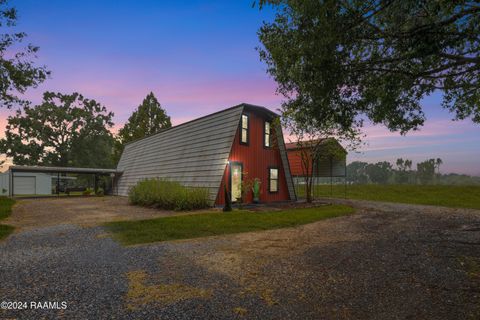 Photo of 135 Woodys Lane, Sunset, LA 70584 (MLS # 24009624)