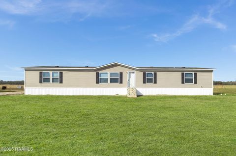 Photo of 692 Tom Schexnayder Road, Opelousas, LA 70570 (MLS # 2500005914)