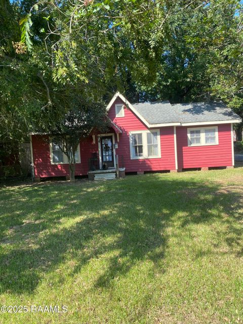 Photo of 717 Moss Street, Lafayette, LA 70501 (MLS # 2500004659)