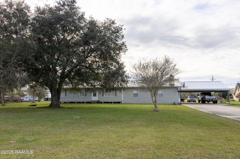 Photo of 1049 Pousson Road, Egan, LA 70531 (MLS # 2500007121)