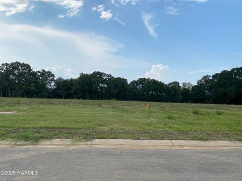 Photo of 109 Blue Cv Drive, Lafayette, LA 70508 (MLS # 2600003261)