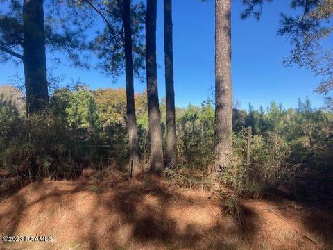 Photo of Landry Lane, Eunice, LA 70535 (MLS # 23010872)