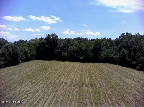 Photo of 1298 Henderson Highway, Breaux Bridge, LA 70517 (MLS # 2600009043)