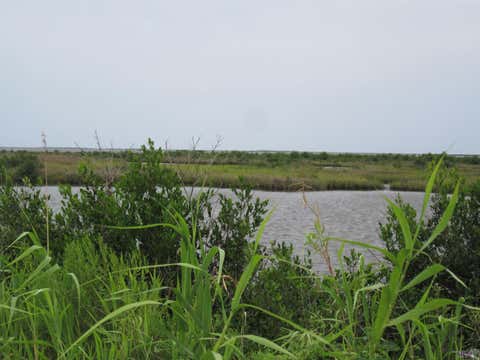 Photo of TBD Highway 1 ST, Leeville, LA 70357 (MLS # BY2026014137)
