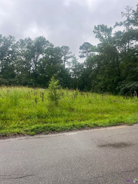 Photo of 19925 Perrin Ferry Rd RD, Springfield, LA 70462 (MLS # BR2026009570)