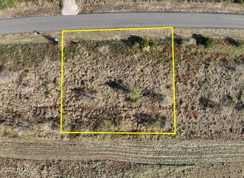 Photo of 1728 Pavilion Drive, Iowa, LA 70647 (MLS # 2500006673)