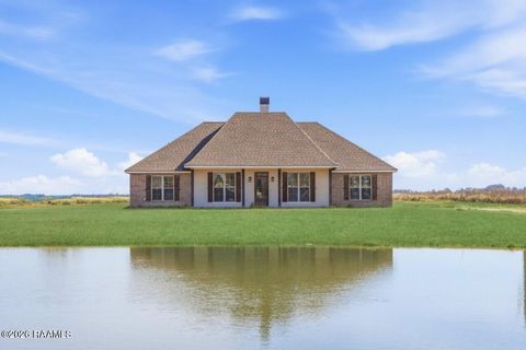 Photo of 4198 Iota Highway, Egan, LA 70531 (MLS # 2600000509)