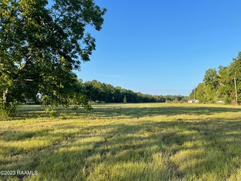 Photo of 0 Coteau Rodaire Highway, Arnaudville, LA 70512 (MLS # 23007221)