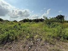 Photo of LOT L-2 Langston Lane, Port Sulphur, LA 70083 (MLS # NO2568746)