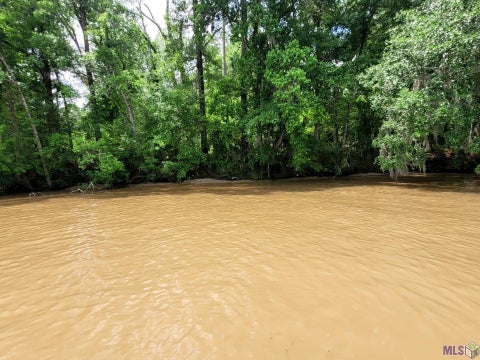 Photo of TBD Amite River Access Only, Prairieville, LA 70769 (MLS # BR2026012260)