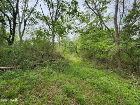 Photo of Kaplan, LA 70548 (MLS # 2600008236)