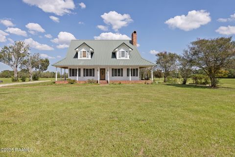 Photo of 15011 S Guegnon Street, Abbeville, LA 70510 (MLS # 2500004027)