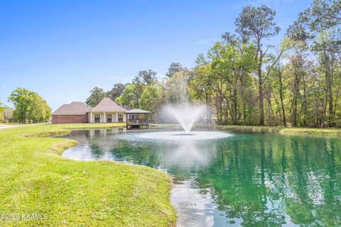 Photo of 314 Andre Avenue, Maurice, LA 70555 (MLS # 2600002356)
