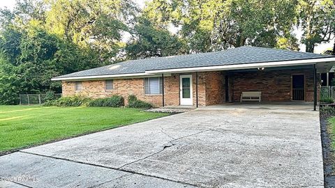 Photo of 184 Grey Eagle Road #1, Jeanerette, LA 70544 (MLS # 2500005827)