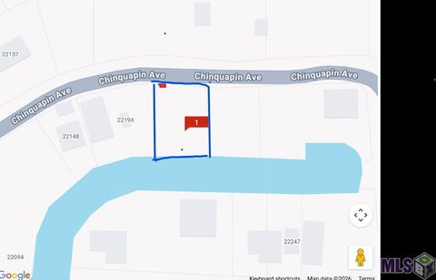 Photo of 22222 Chinquapin Ave Ave, Maurepas, LA 70449 (MLS # BR2026003037)