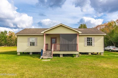 Photo of 664 Cottage Lane, Church Point, LA 70525 (MLS # 2500005665)