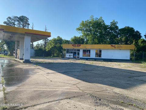 Photo of 925 W Vine Street, Opelousas, LA 70570 (MLS # 2500004781)
