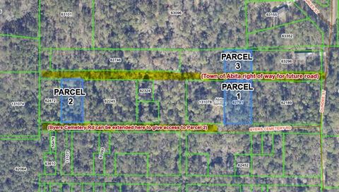 Photo of 0 Byers Cemetery Road, Abita Springs, LA 70433 (MLS # NO2556069)