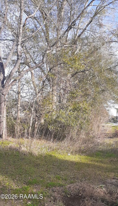 Photo of Tbd La 1252 Highway, Carencro, LA 70520 (MLS # 2500007038)