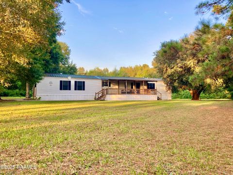 Photo of 2035 Shultz Road, Iota, LA 70543 (MLS # 2500004020)