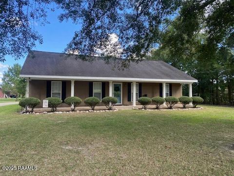 Photo of 1346 Guillory Road, Church Point, LA 70525 (MLS # 2500004292)