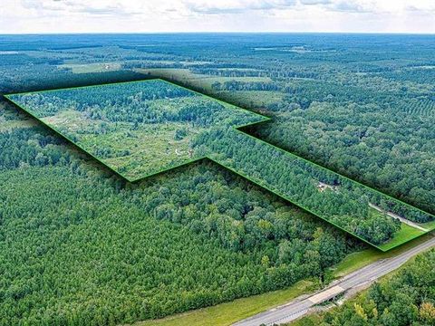 Photo of 2350 Highway 499 Other, Sikes, LA 71473 (MLS # CN2542481)